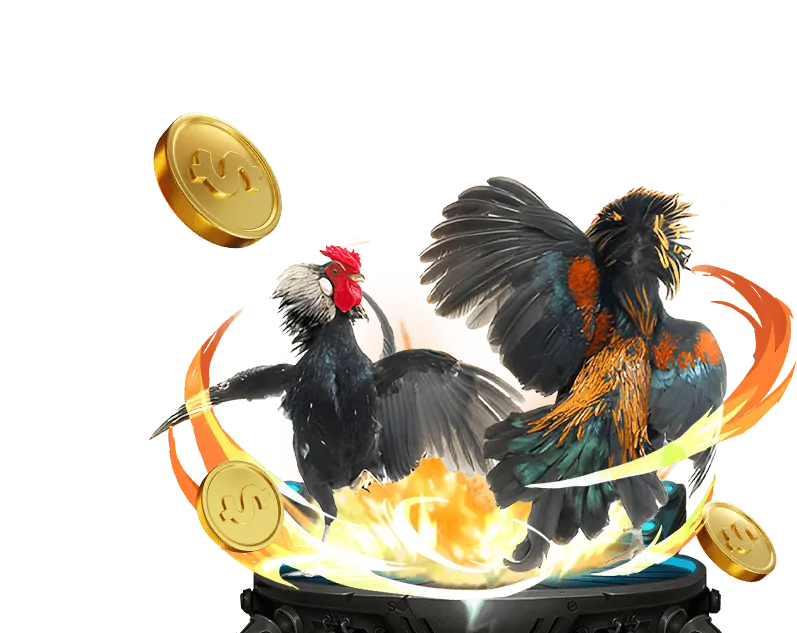 Dấu hiệu vấn đề cờ bạc và cách tìm trợ giúp